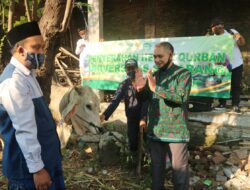 Rektor USM Serahkan Hewan Kurban Ke Pesantren di Kudus