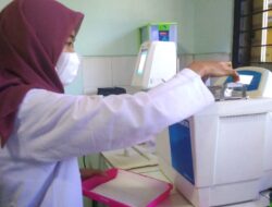 Ekstrak Biji Pangi sebagai Viabilitas Bakteri pada Udang Pemicu Histamin