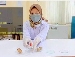 Dosen FTP USM Berikan Penyuluhan Pengunaan Bahan Tambahan Pangan yang Aman