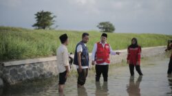 Rektor USM Apresiasi Mahasiswa yang Terlibat Penanganan Banjir Demak Melalui MBKM