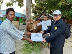 USM Distribusikan Hewan Qurban Di Pesantren Gus Baha